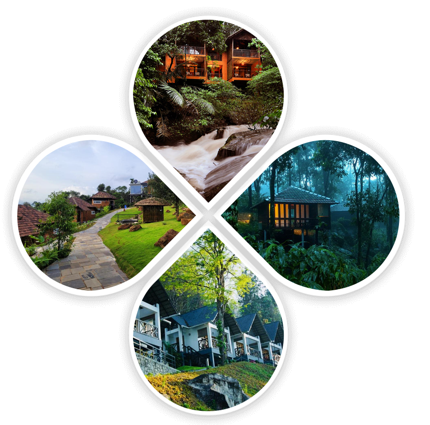 Wayanad Tours and Travels