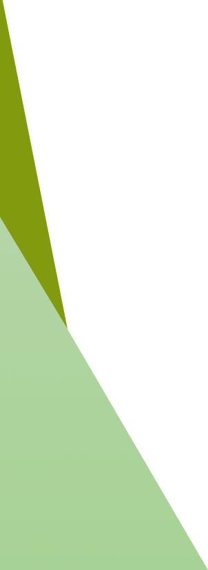 Wayanad Tours and Travels