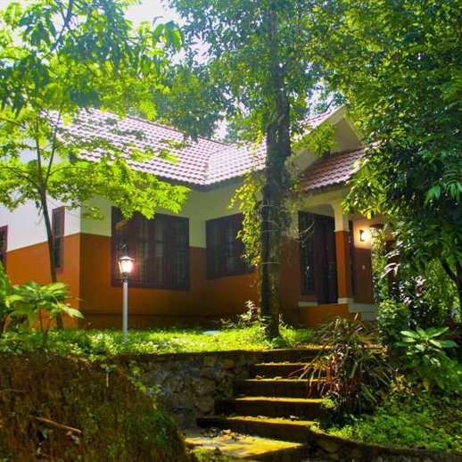 Wayanad Tours and Travels