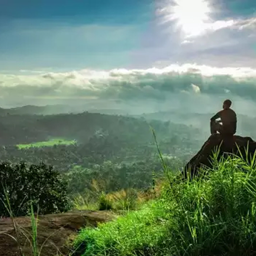 Wayanad Tours and Travels