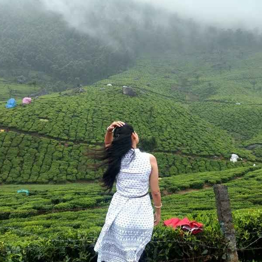 Wayanad Tours and Travels