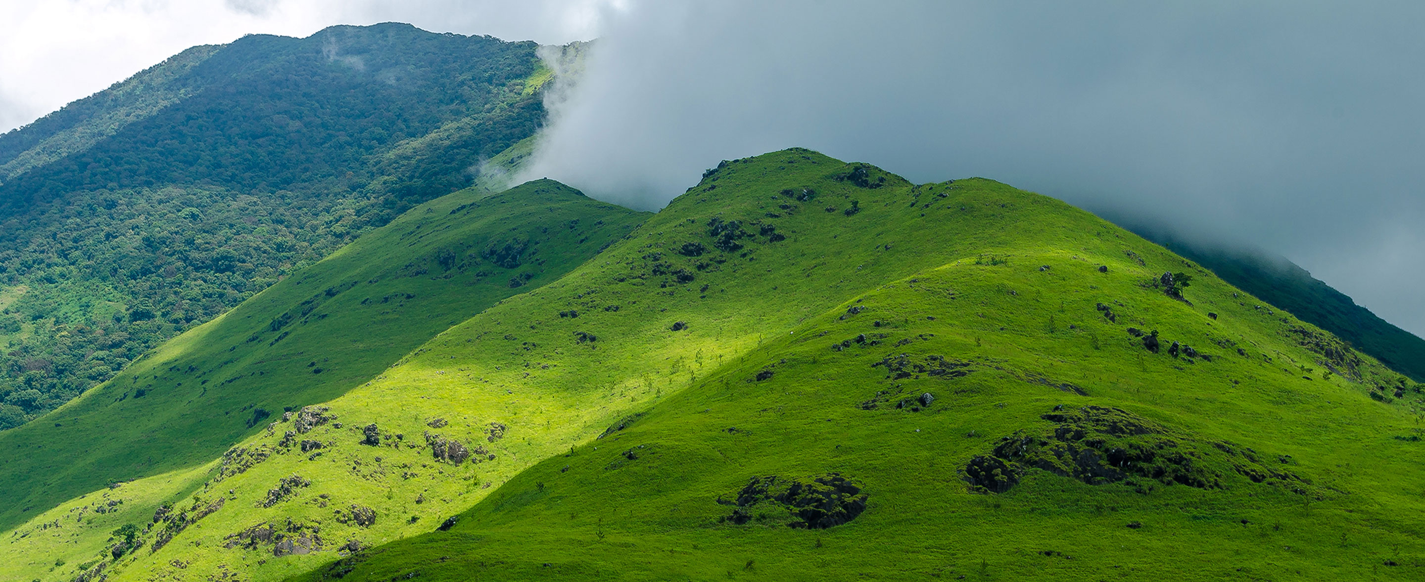 Wayanad Tours and Travels