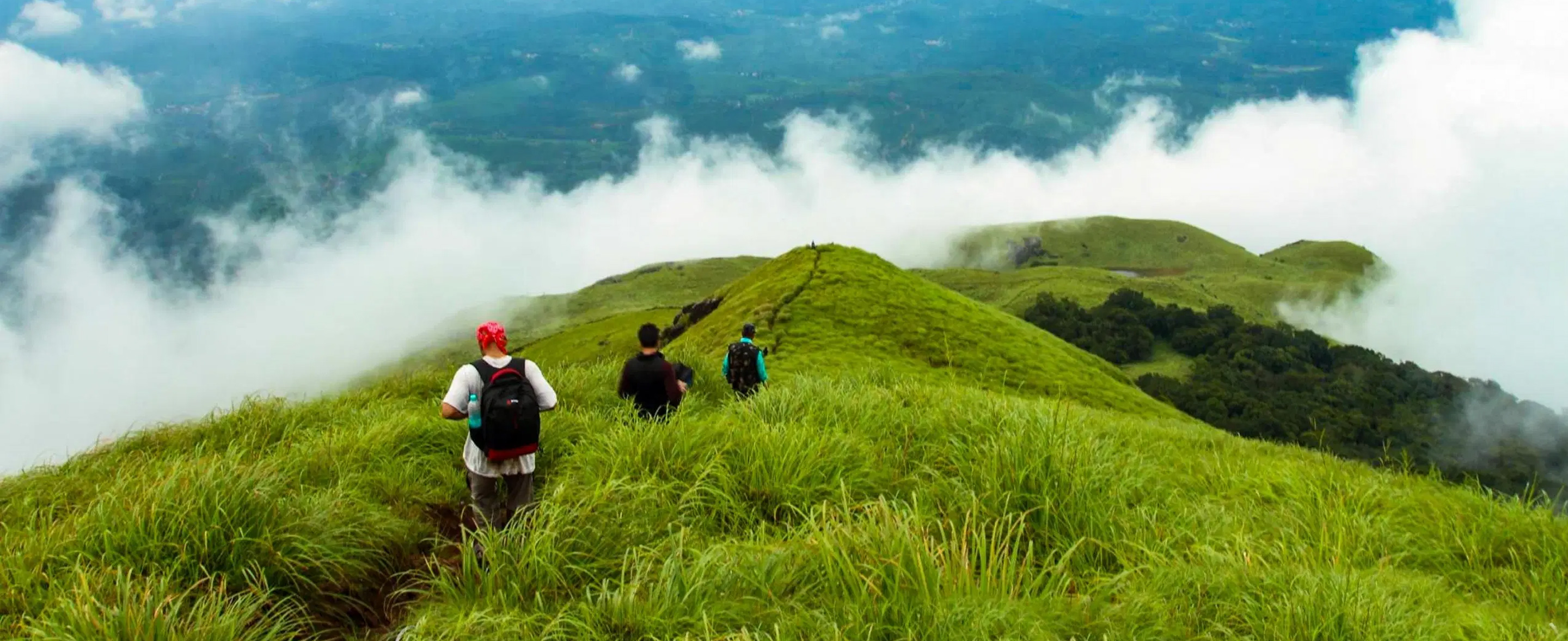 Wayanad Tours and Travels